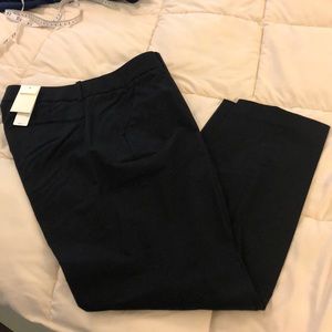 Jcrew cafe capri pants, NWT